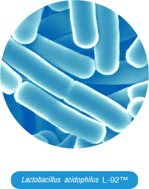 Lactobacillus acidophilus L-92™